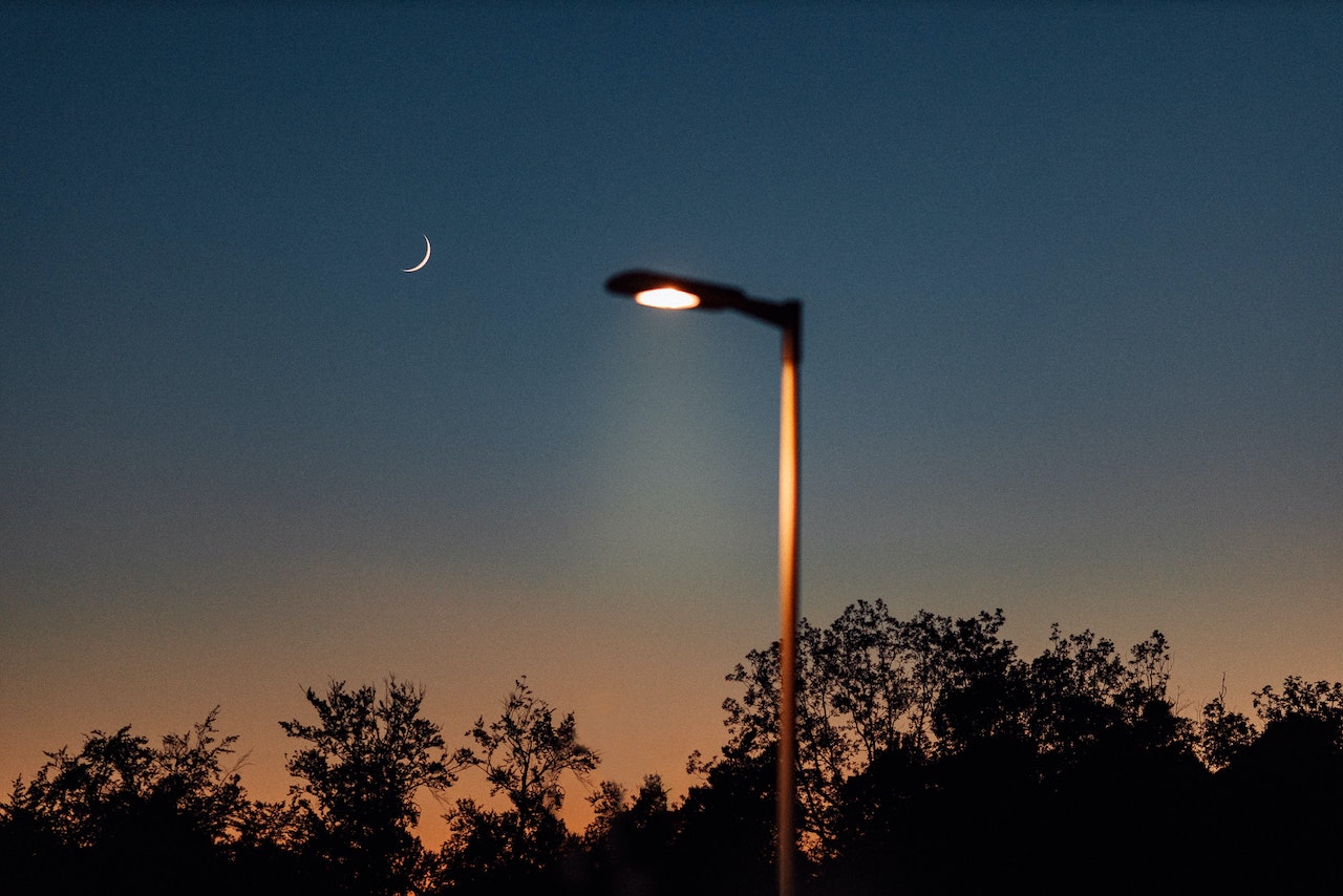 A turned-on lamppost on a starless night, with the silhouette of trees in the background