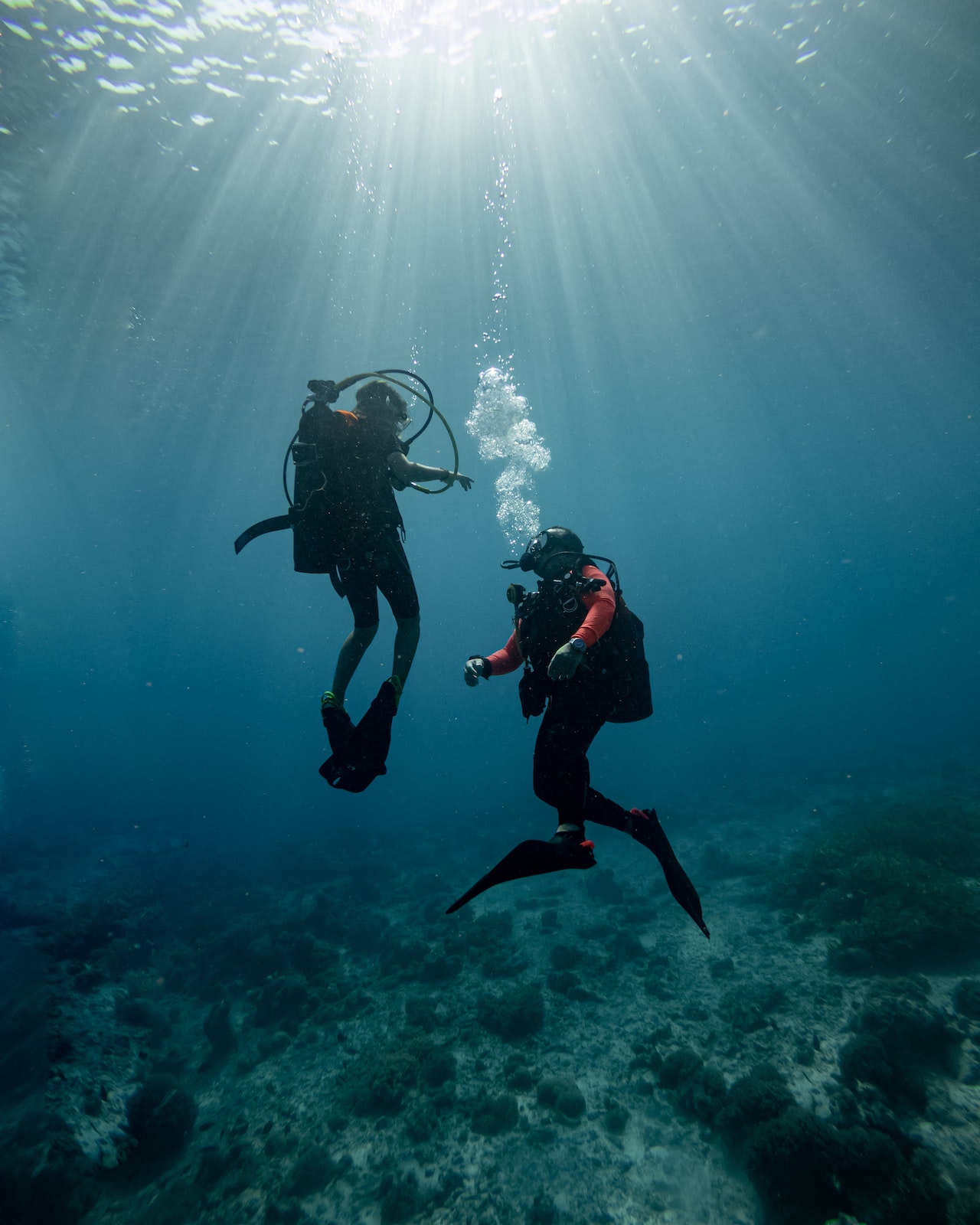 Scuba Diving Panama - Explore The Underwater Beauty