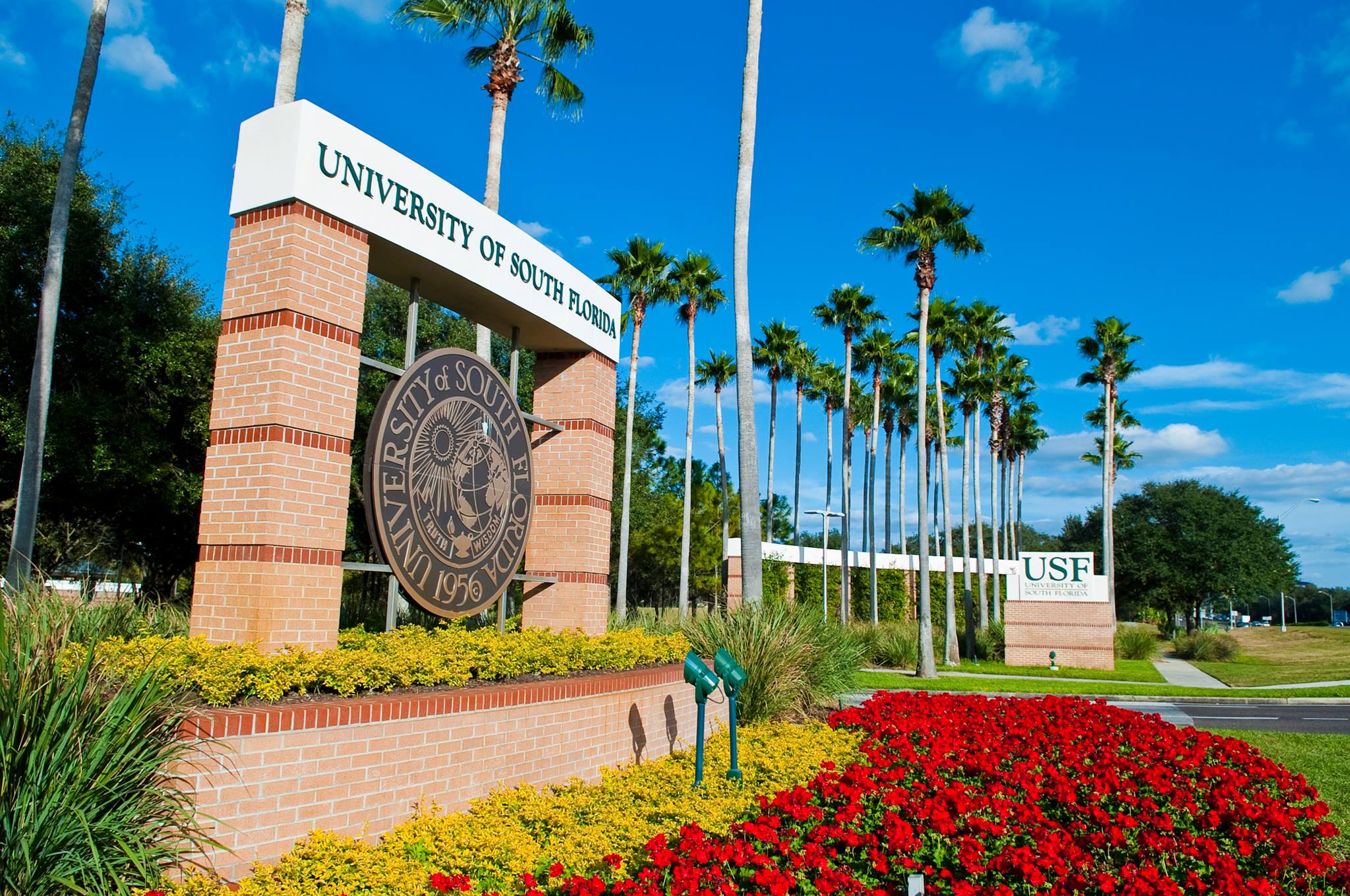 University Of South Florida garden view