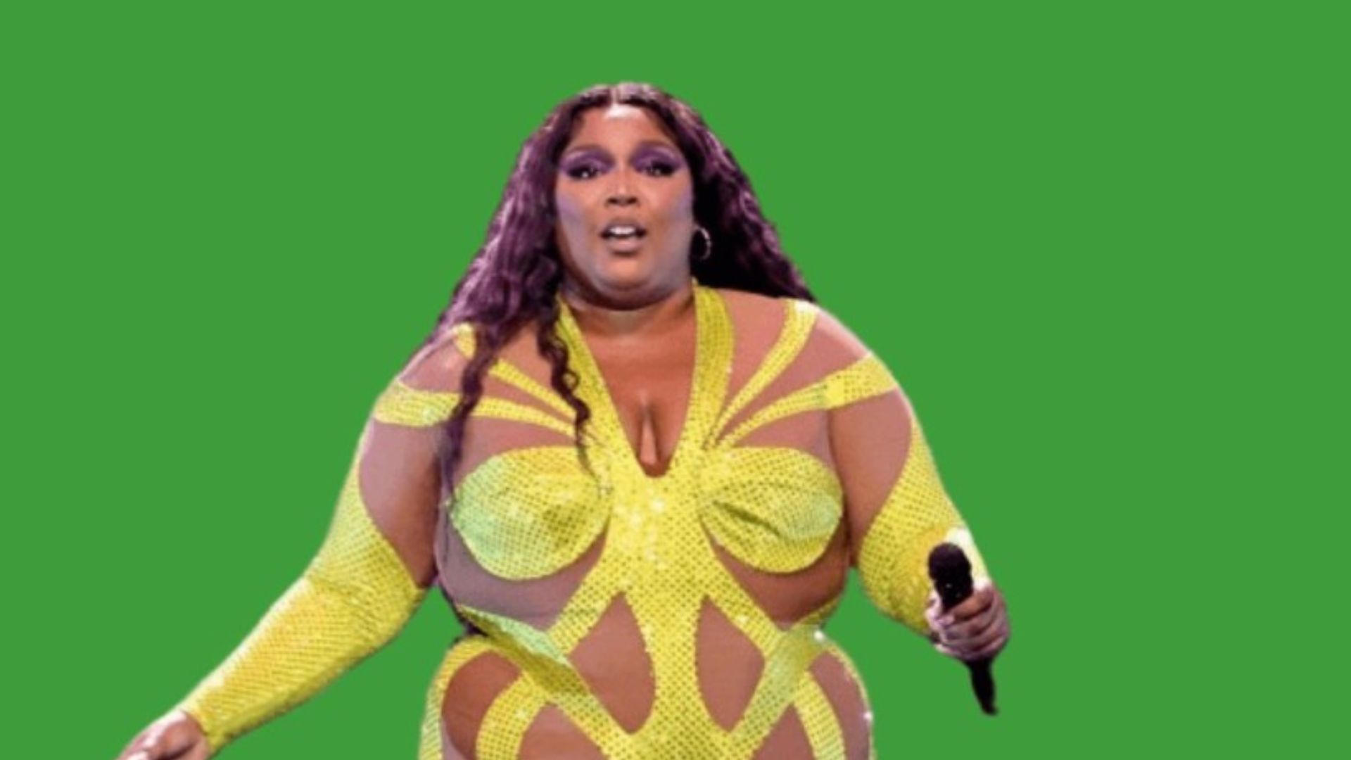 Lizzo In Front Of Green Screen