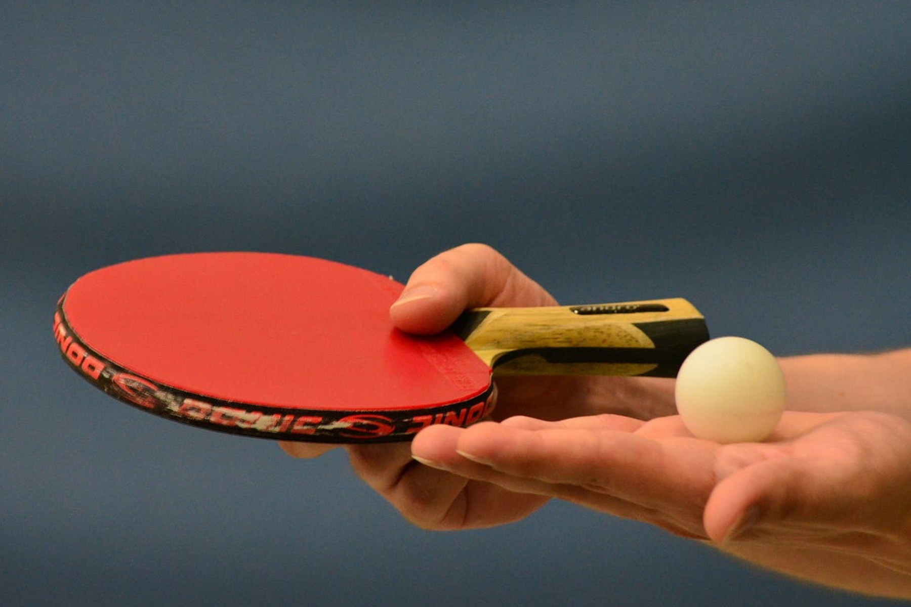 A person's hand grasping a ping-pong paddle and a ball