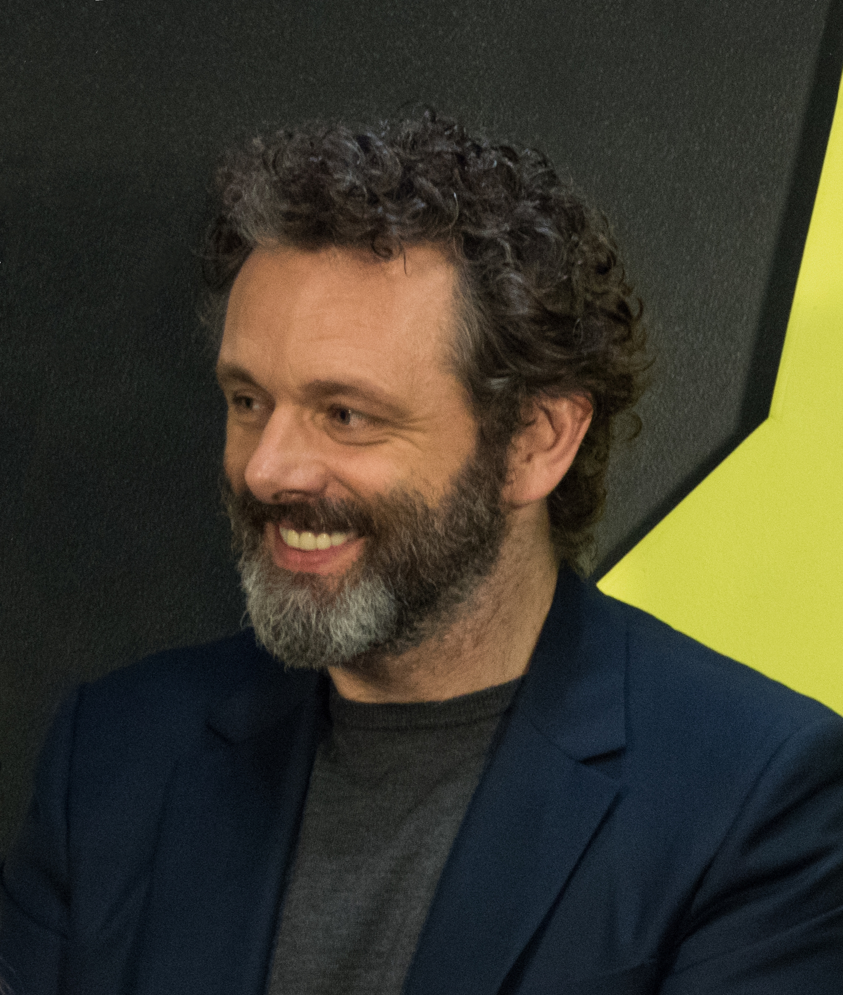 Michael Sheen - A Versatile And Accomplished Actor
