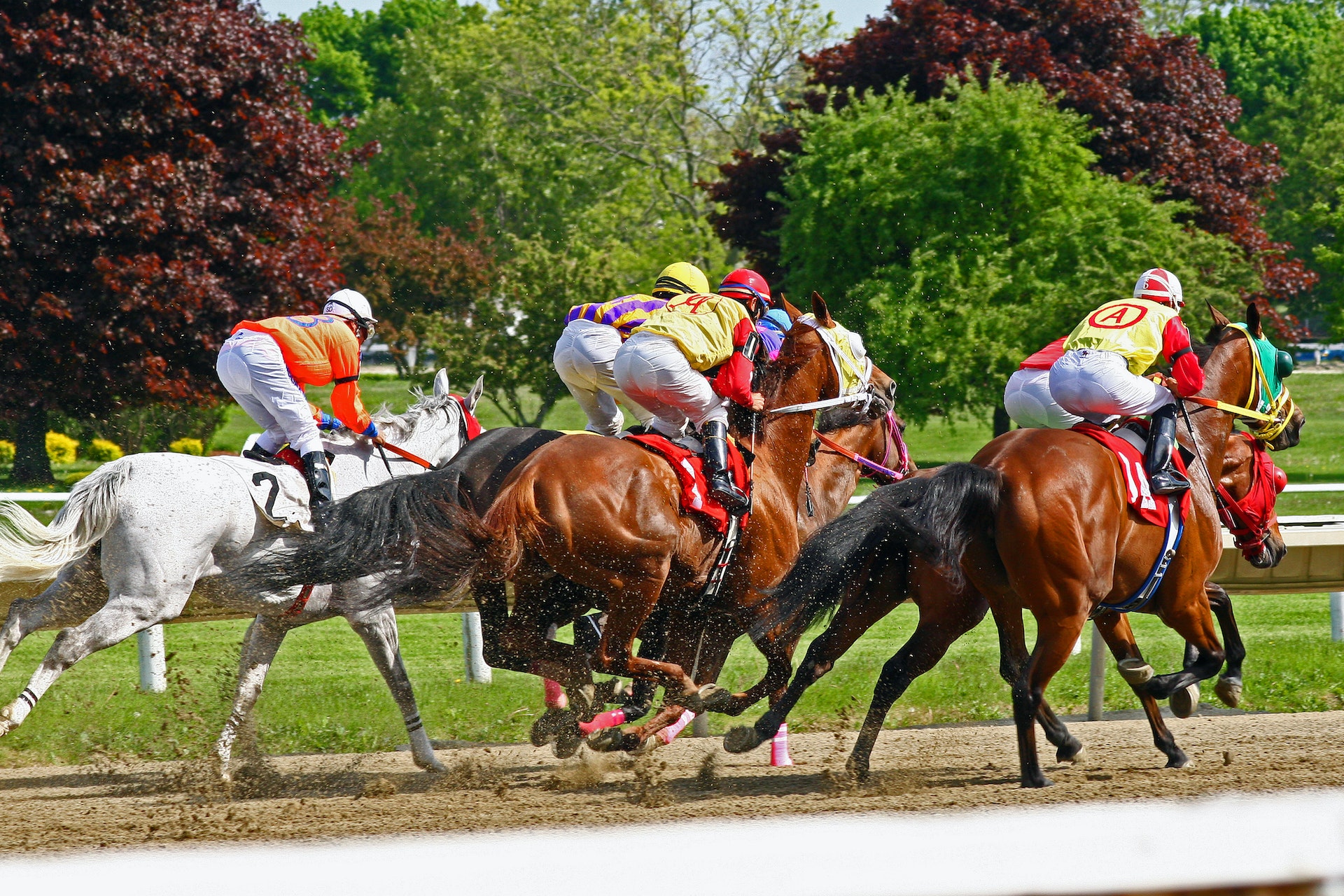 Box Horse Racing - Understanding Costs And Potential Returns