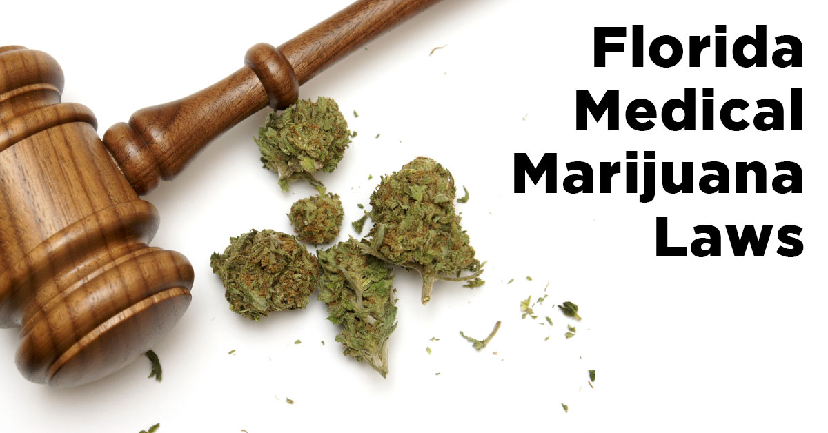 Florida medical marijuana laws with justice hammer and marijuana