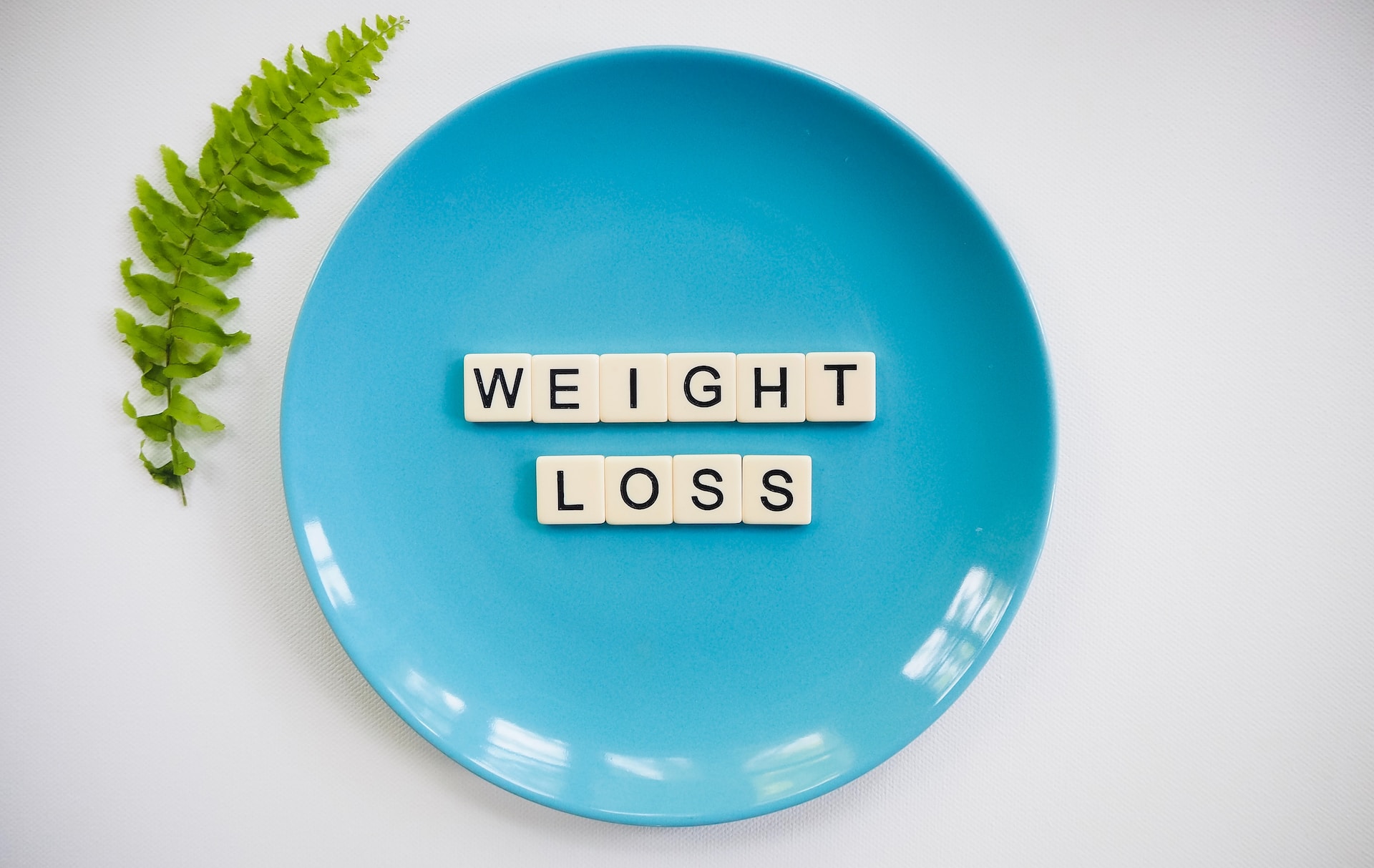 A stem of fern and black letters on white tiles and on a round sky-blue plate forming the words ‘weight loss’