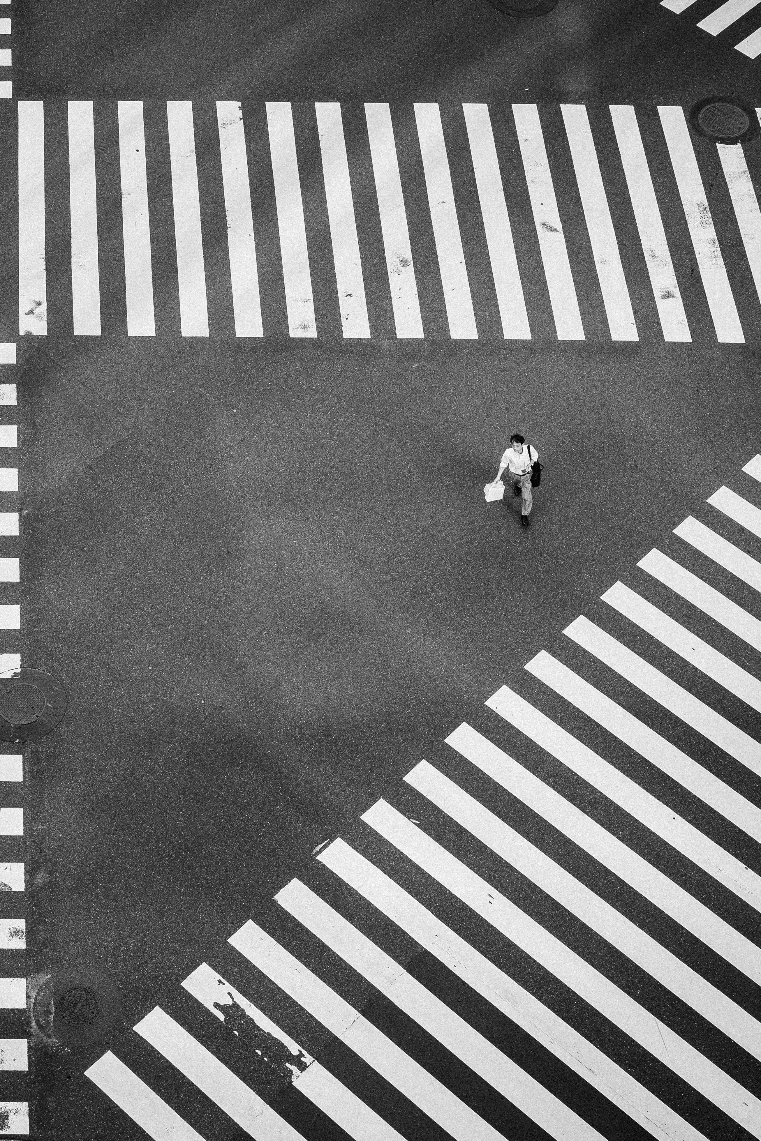 Hachiko Crossing in Shibuya