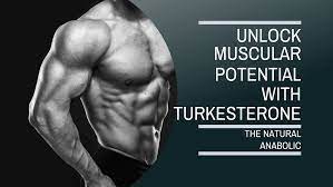 Bodybuiler's upper body on the left and "Unlock mascular potential with turkesterone, the natural anabolic" written on the right