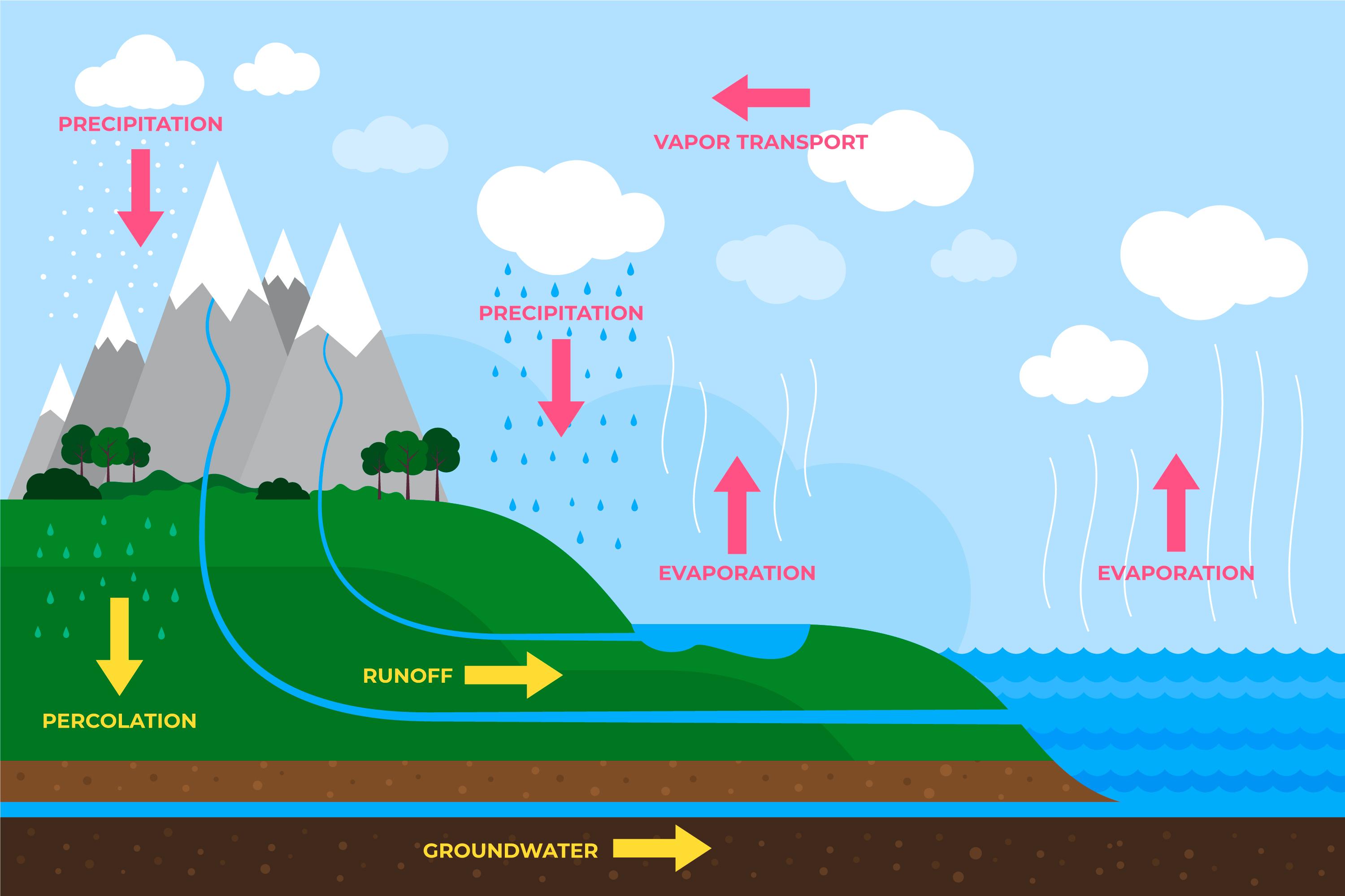 Illustration of the water cycle 