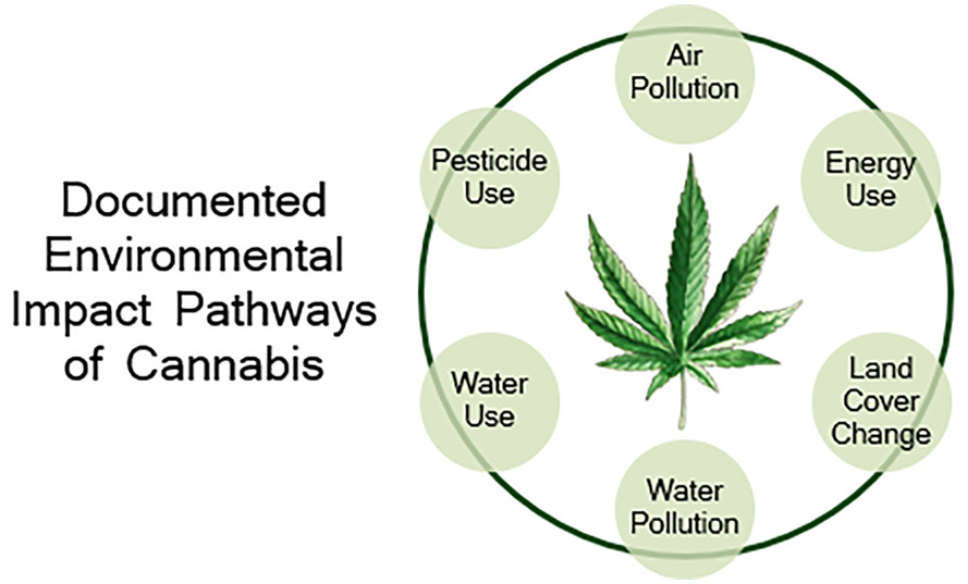 Cannabis leaf with circle shape table of points