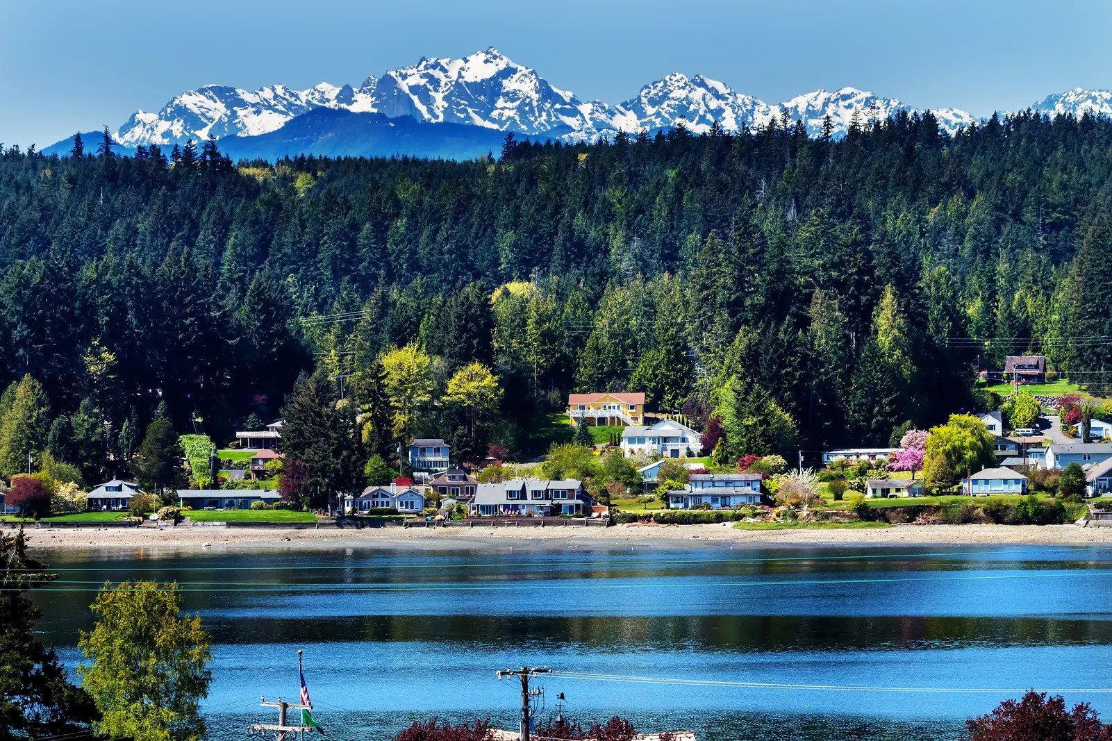 A beach with houses close to its shore in Bainbridge Island