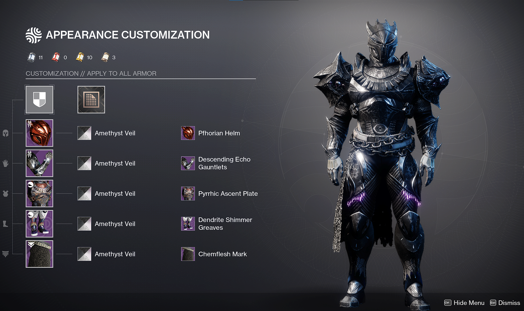 Armor appearance customization card