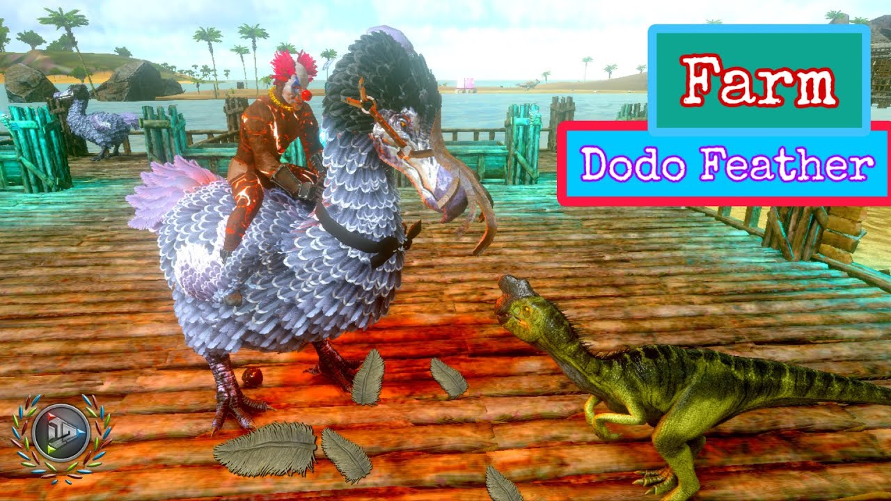 Joker sits on dodo feathers