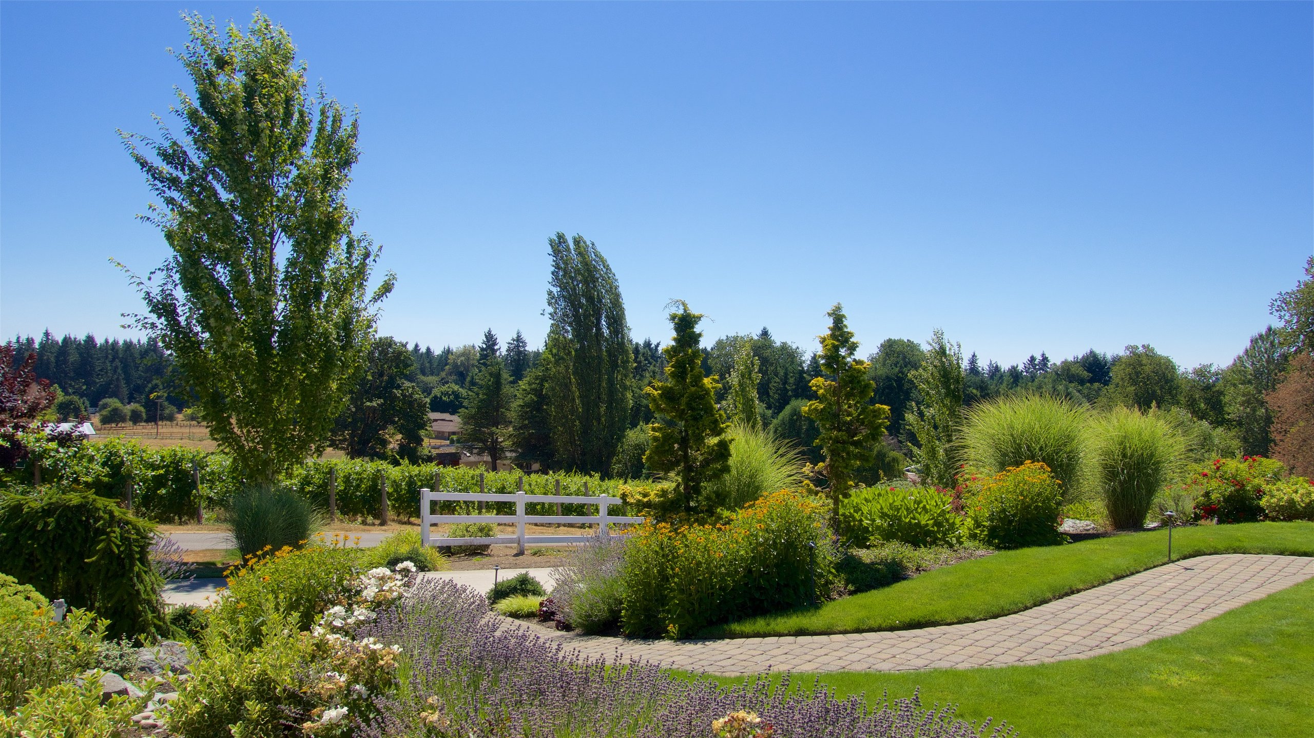 A green field center with benches in Woodinville