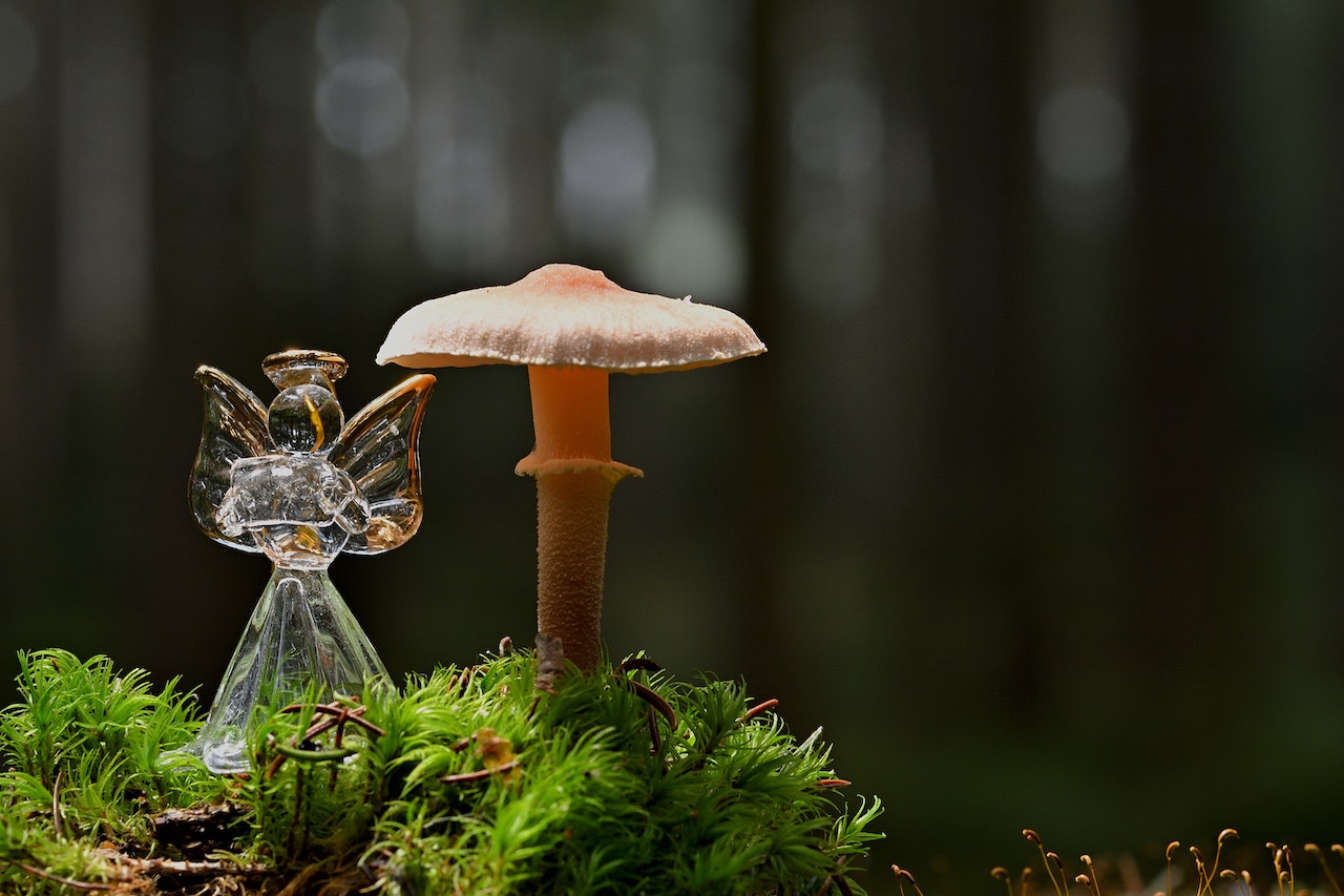 Angel Figurine and a Mushroom
