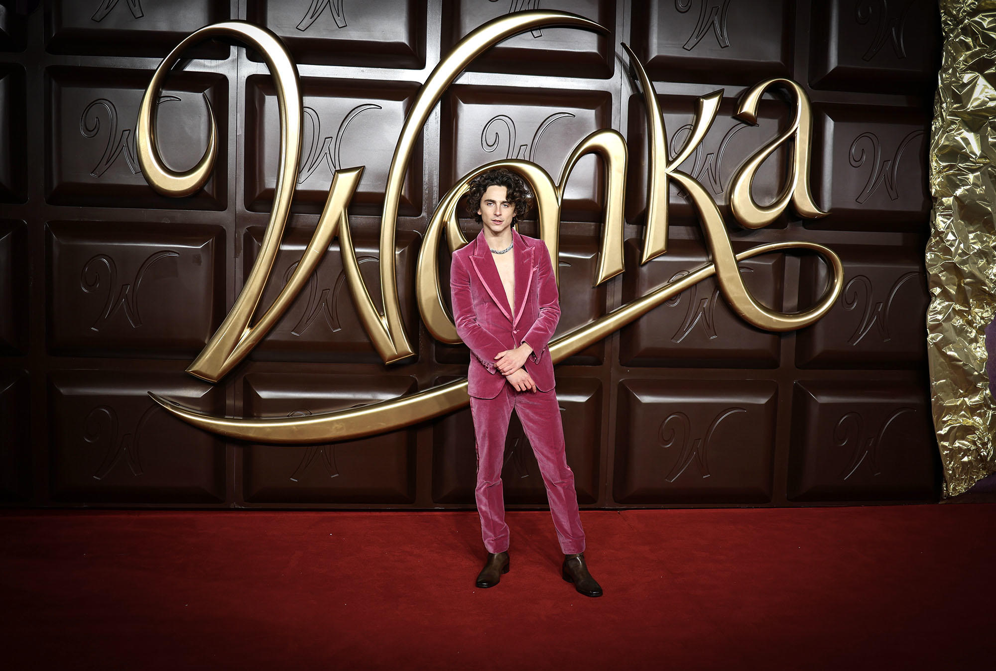 Timothee Chalamet wearing a pink velvet suit on Wonka red carpet