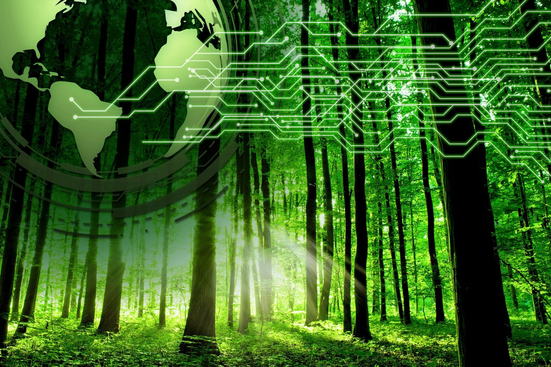 A vibrant forest with overlaying digital circuitry and a global map, symbolizing the intersection of nature and technology.