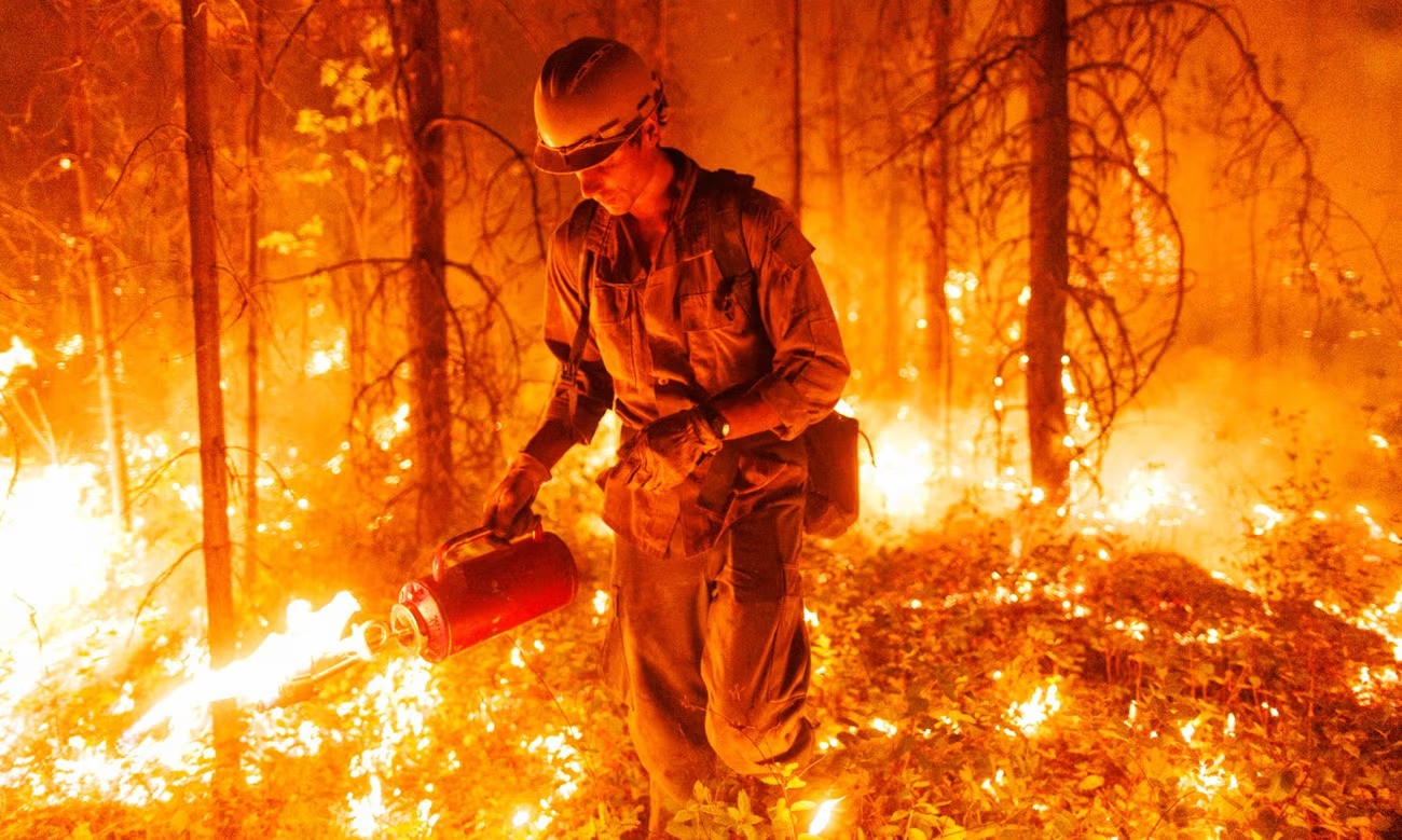 A firefighter uses a driptorch to set a controlled burn during a wildfire