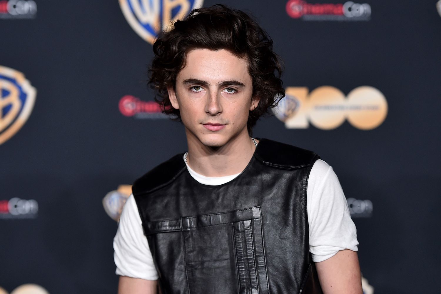 Timothée Chalamet wearing a black and white top
