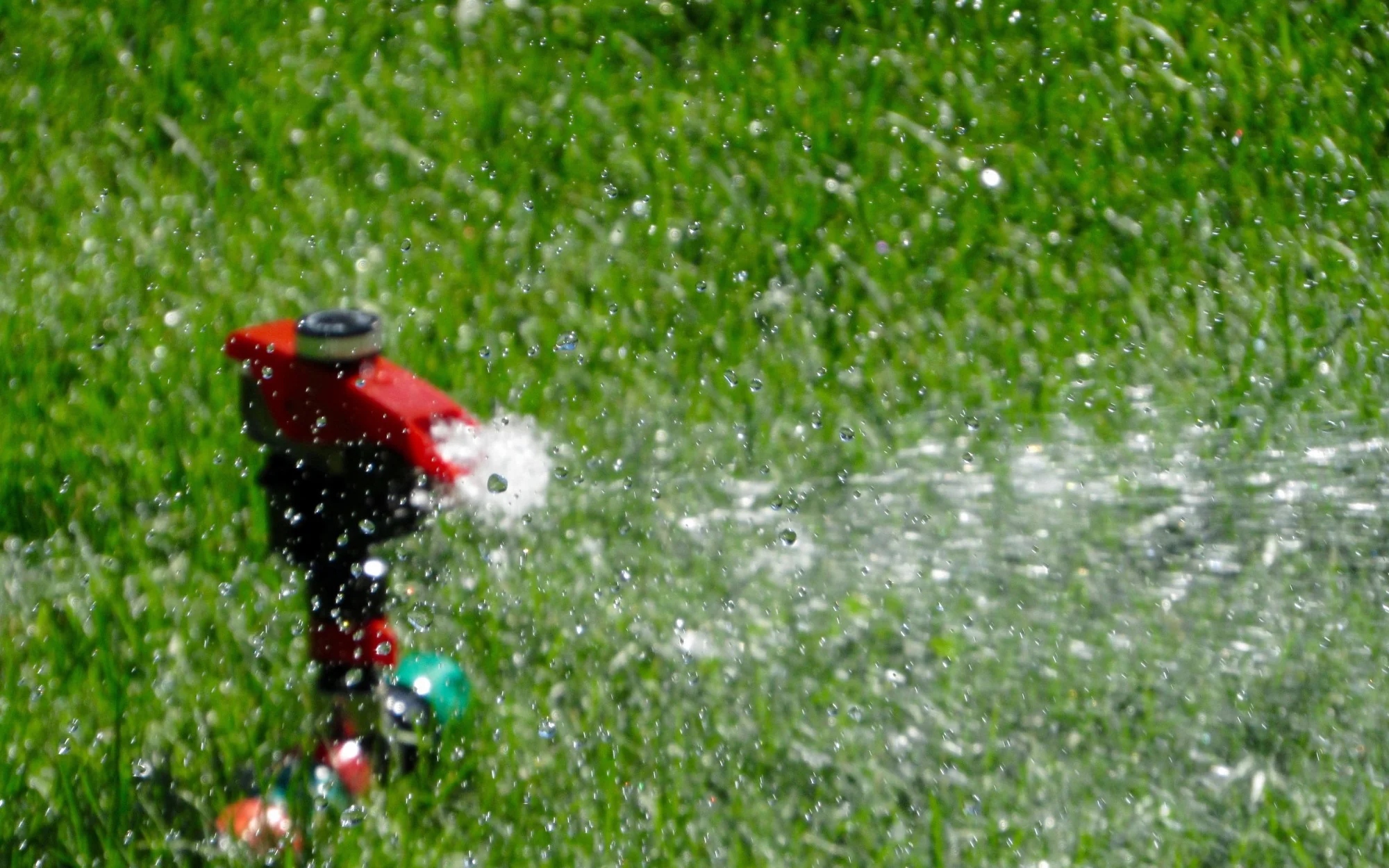 A sprinkler spraying water on grass
