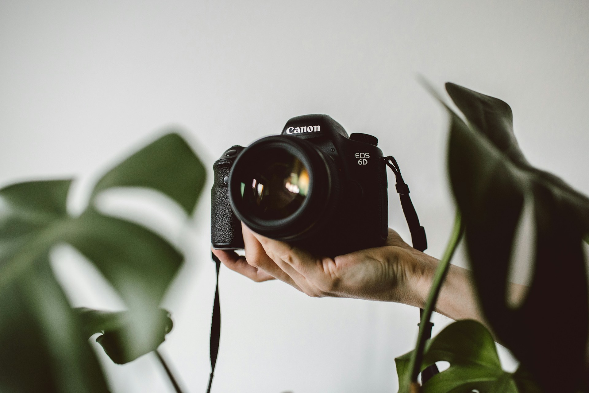 A hand holding a camera with some leaves in the background