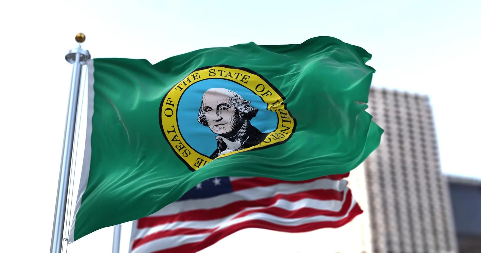 The Washington State Flag