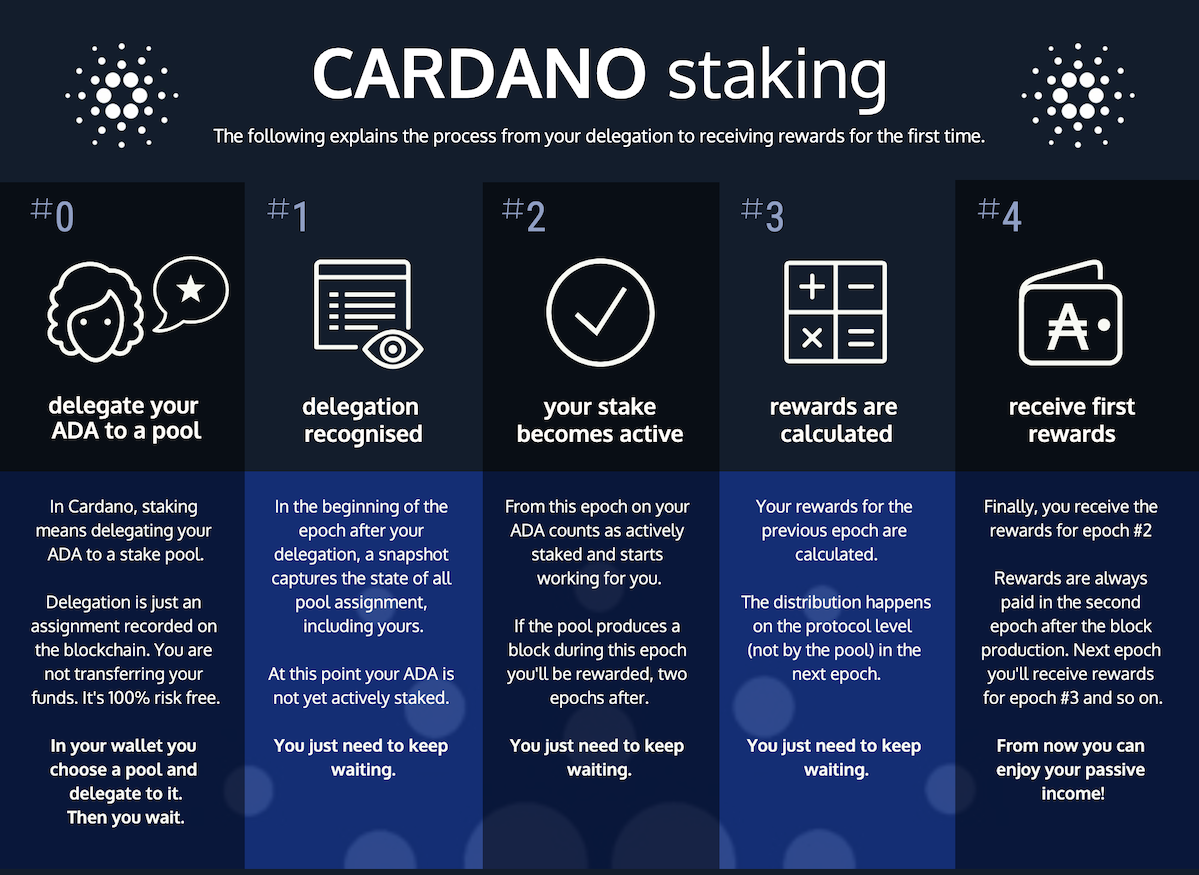 Cardano staking explained
