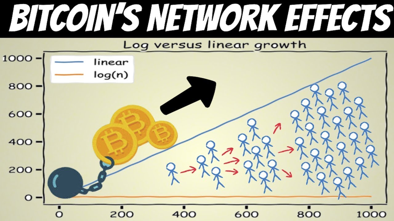 Bitcoin's Network Effects graph