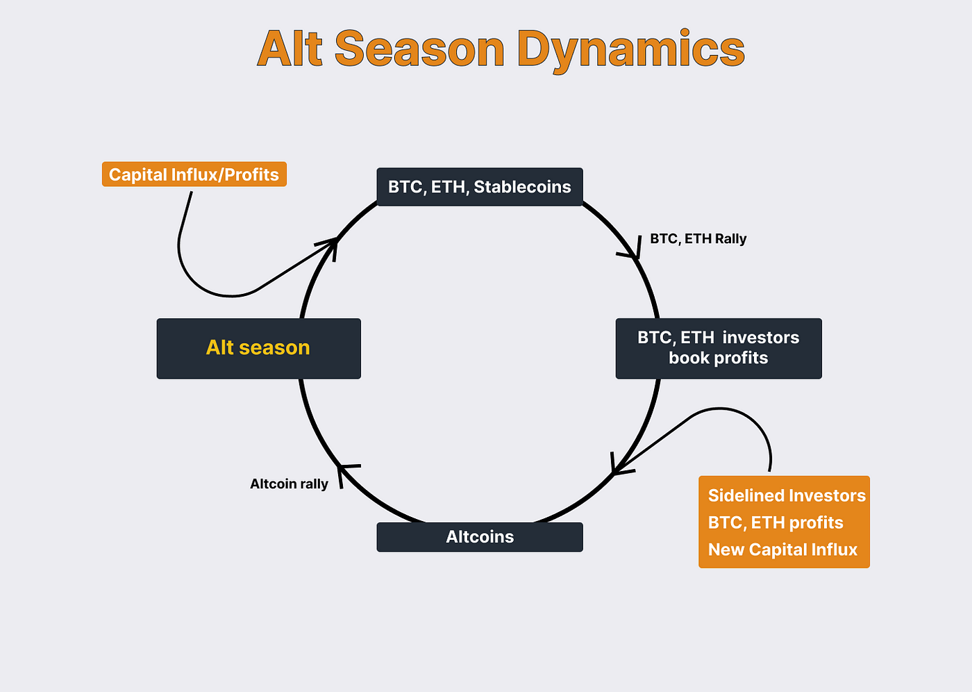 Altcoin season dynamics described with a cycle
